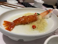 生腌大红虾-喜鼎海胆水饺(平安金融中心店)