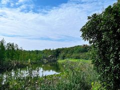 -同里国家湿地公园
