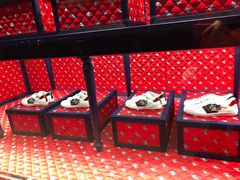 -Gucci(北京SKP店)