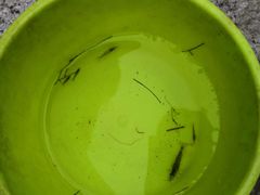 -碓臼峪自然风景区