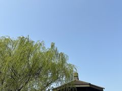 -苏州太湖国家湿地公园