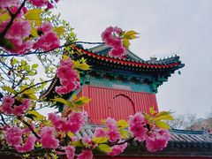-北京艺术博物馆(万寿寺)