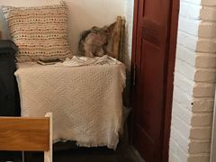 -春风十里咖啡馆