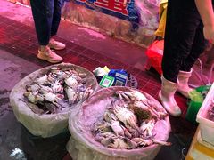 -韩家墅海吉星农产品批发市场