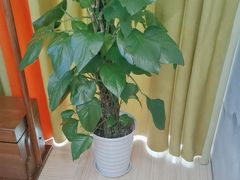 -香山湖渔家大院