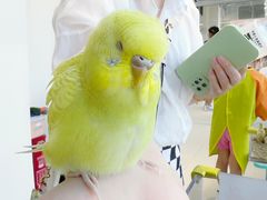 -怪兽屋·羊驼·猫咖·狗咖(俊华广场店)