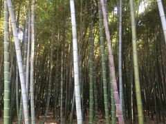 -同里国家湿地公园