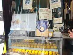 -猫的魔法密林(衣裳街店)