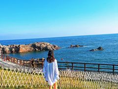 -小麦岛公园