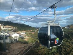-普陀山风景区-佛顶山