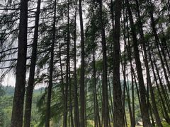 -硗碛藏寨·神木垒景区