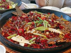 -老板恋上鱼(恒隆广场店)