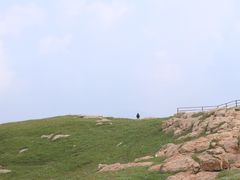 -空中草原
