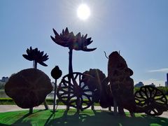-莲花池公园