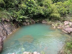 -广州白江湖森林公园