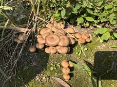 -驿舍·民國老营房院子私房菜(科学会堂店)