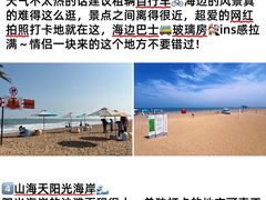 -日照海滨国家森林公园