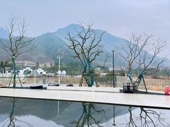 -中国宣纸文化园