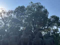 -晋祠公园