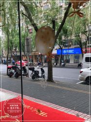 -金太子形象设计