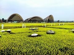 -中国天府农业博览园