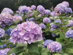 -常州古运河南大街文化旅游区-人民公园