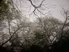 -浙江省博物馆(孤山馆区)