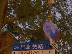 -八大关景区
