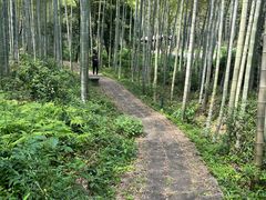 -黄公望隐居地