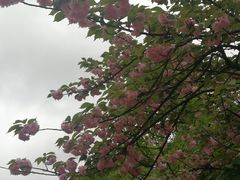 -石峰公园
