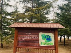 -大兴滨河森林公园