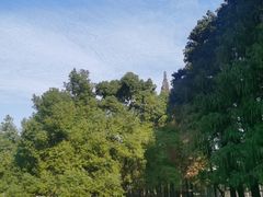 -上海滨江森林公园