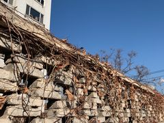 -丁丁猫重庆小面(徐州路店)