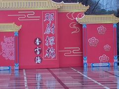 -香雪海