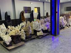-游龙石文化科普馆