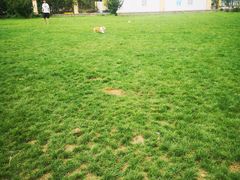 -趣玩宠物乐园寄养训犬训狗游泳池