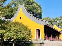-灵隐飞来峰景区