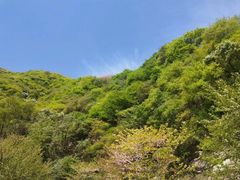 -秦岭风景区