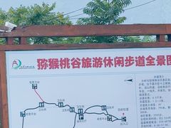-大岭沟猕猴桃谷风景区