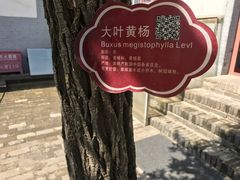 -八路军西安办事处纪念馆