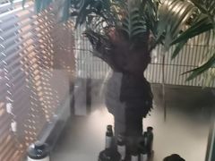 -涟LIAN·泰式按摩·MASSAGE·SPA(华强北店)