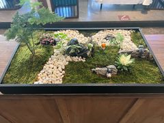 -松鹤楼·非遗·苏帮菜(融科店)