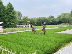 -溱湖国家湿地公园