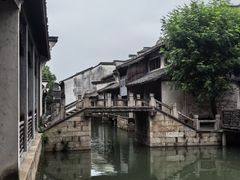 -西塘人家•黑金冠本地好店