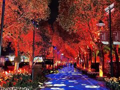 -花博汇(知音花月夜)