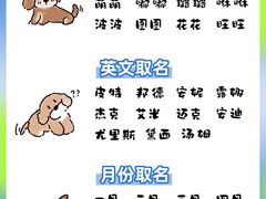 -芭比堂动物医院·心脏科·老年急重症·夜诊·吉雅分院