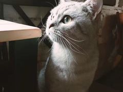 -不舍昼夜咖啡馆