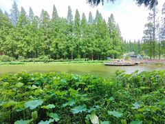 -五七小李子油焖大虾(总店)