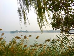 -颐和园