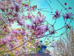 -天津五大道文化旅游区